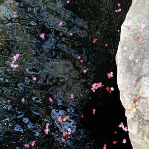 精品人妻少妇一区二区中文字幕
